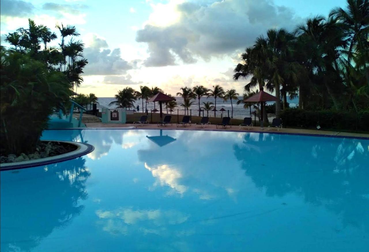 La Perle Des Caraibes Apartment แซนต์-อาน ภายนอก รูปภาพ